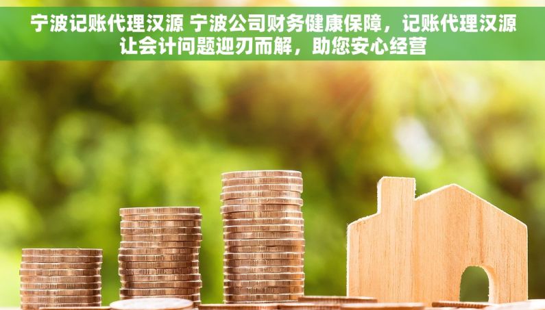 宁波记账代理汉源 宁波公司财务健康保障，记账代理汉源让会计问题迎刃而解，助您安心经营