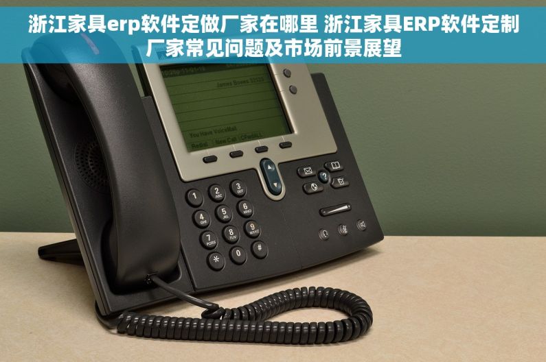浙江家具erp软件定做厂家在哪里 浙江家具ERP软件定制厂家常见问题及市场前景展望