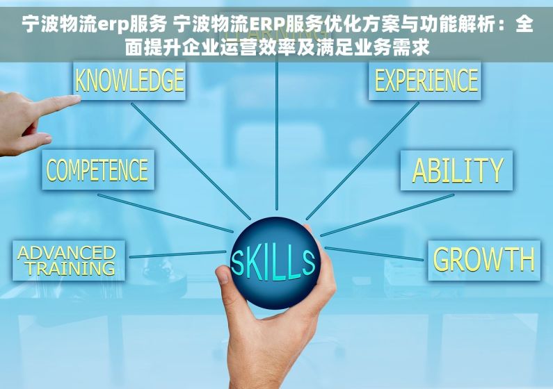 宁波物流erp服务 宁波物流ERP服务优化方案与功能解析：全面提升企业运营效率及满足业务需求