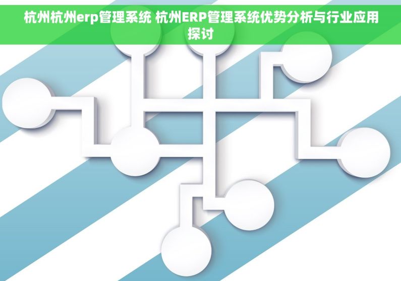 杭州杭州erp管理系统 杭州ERP管理系统优势分析与行业应用探讨
