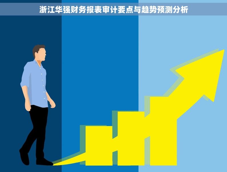 浙江华强财务报表审计要点与趋势预测分析