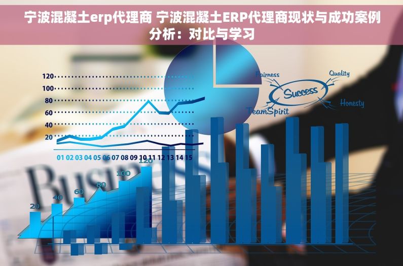 宁波混凝土erp代理商 宁波混凝土ERP代理商现状与成功案例分析：对比与学习