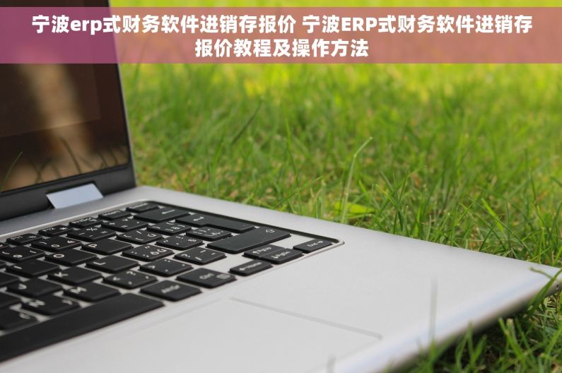 宁波erp式财务软件进销存报价 宁波ERP式财务软件进销存报价教程及操作方法