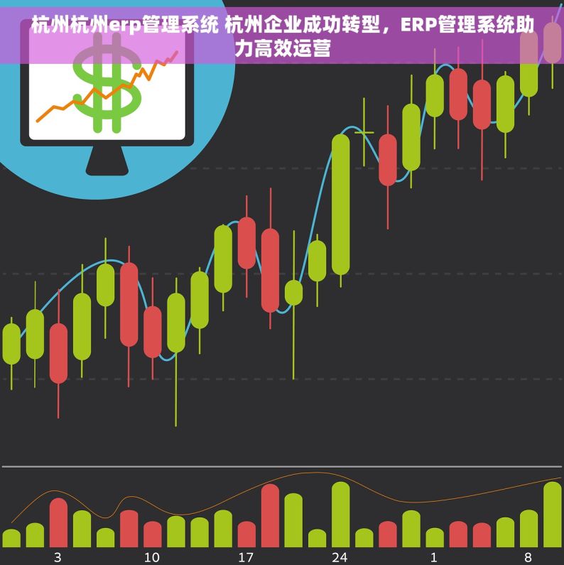 杭州杭州erp管理系统 杭州企业成功转型，ERP管理系统助力高效运营