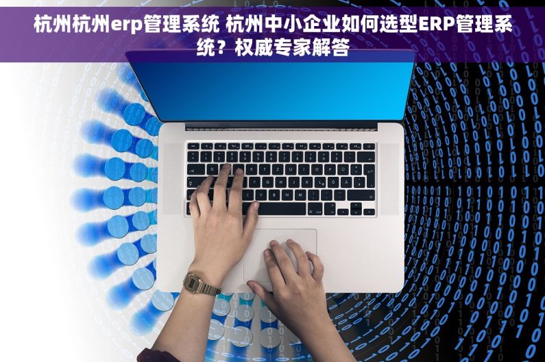 杭州杭州erp管理系统 杭州中小企业如何选型ERP管理系统？权威专家解答