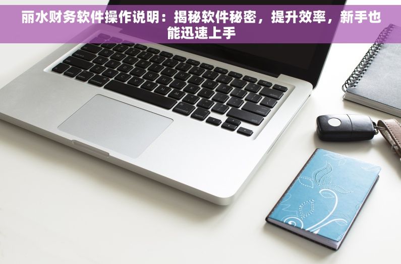 丽水财务软件操作说明：揭秘软件秘密，提升效率，新手也能迅速上手