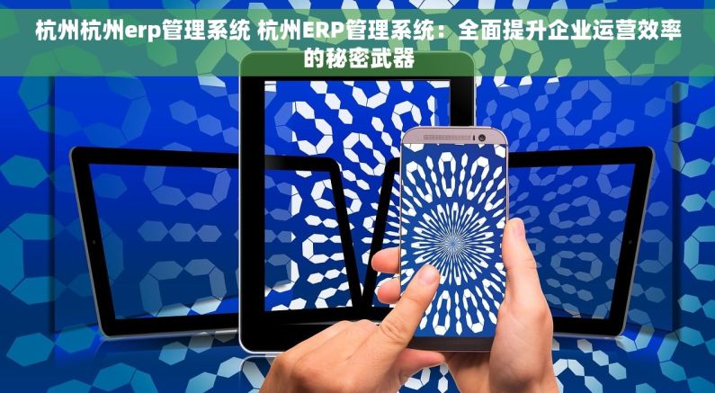 杭州杭州erp管理系统 杭州ERP管理系统：全面提升企业运营效率的秘密武器