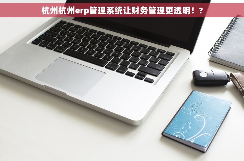 杭州杭州erp管理系统让财务管理更透明！?