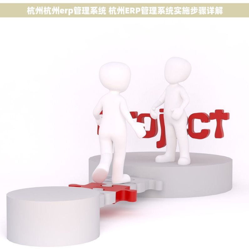 杭州杭州erp管理系统 杭州ERP管理系统实施步骤详解