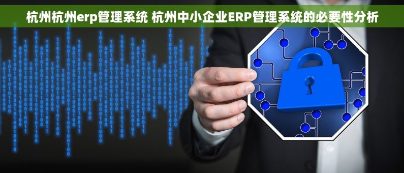 杭州杭州erp管理系统 杭州中小企业ERP管理系统的必要性分析