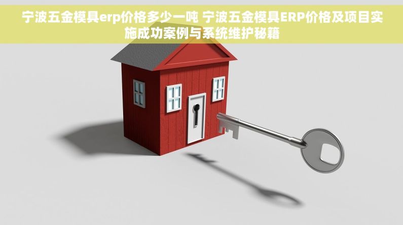 宁波五金模具erp价格多少一吨 宁波五金模具ERP价格及项目实施成功案例与系统维护秘籍