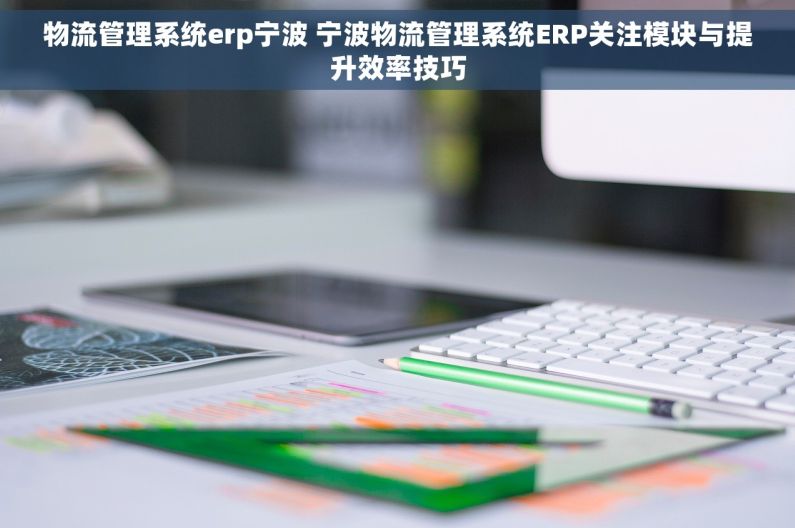 物流管理系统erp宁波 宁波物流管理系统ERP关注模块与提升效率技巧