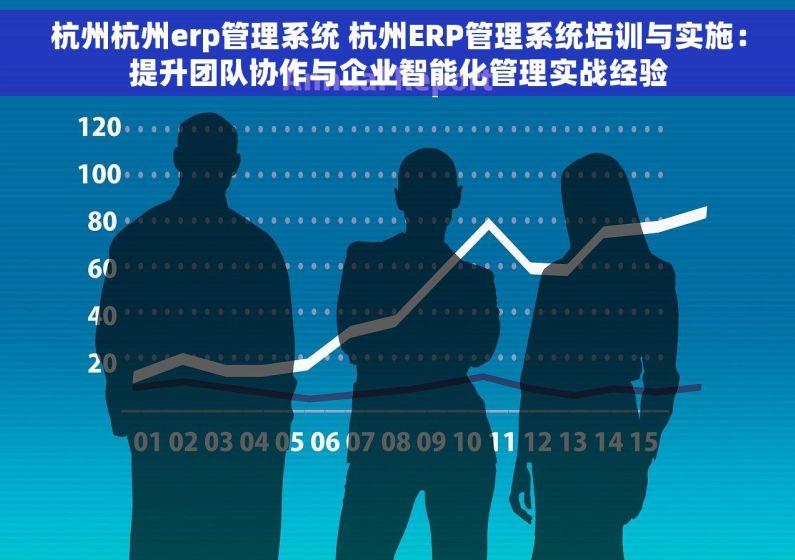 杭州杭州erp管理系统 杭州ERP管理系统培训与实施：提升团队协作与企业智能化管理实战经验