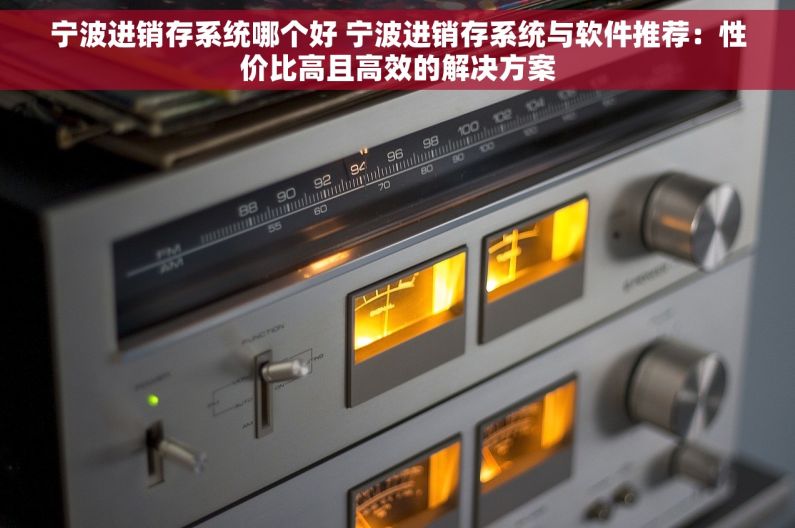 宁波进销存系统哪个好 宁波进销存系统与软件推荐：性价比高且高效的解决方案