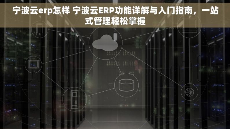 宁波云erp怎样 宁波云ERP功能详解与入门指南，一站式管理轻松掌握
