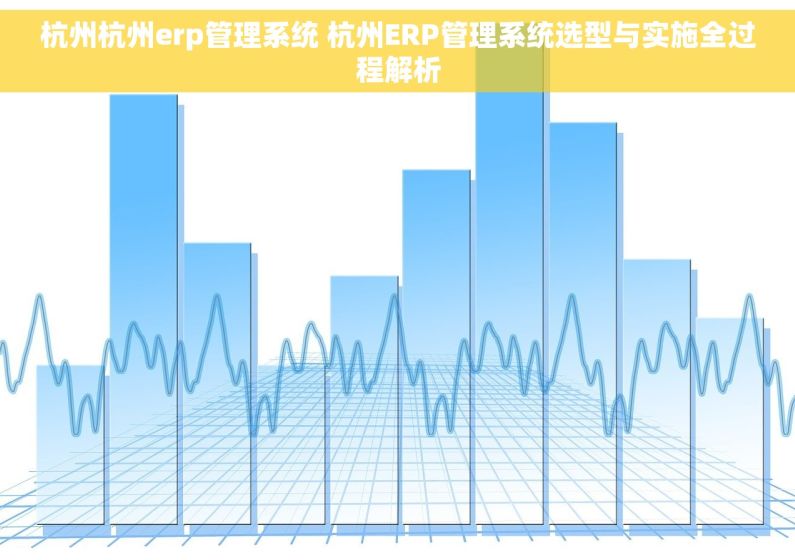 杭州杭州erp管理系统 杭州ERP管理系统选型与实施全过程解析