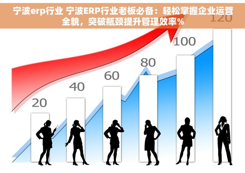 宁波erp行业 宁波ERP行业老板必备：轻松掌握企业运营全貌，突破瓶颈提升管理效率%