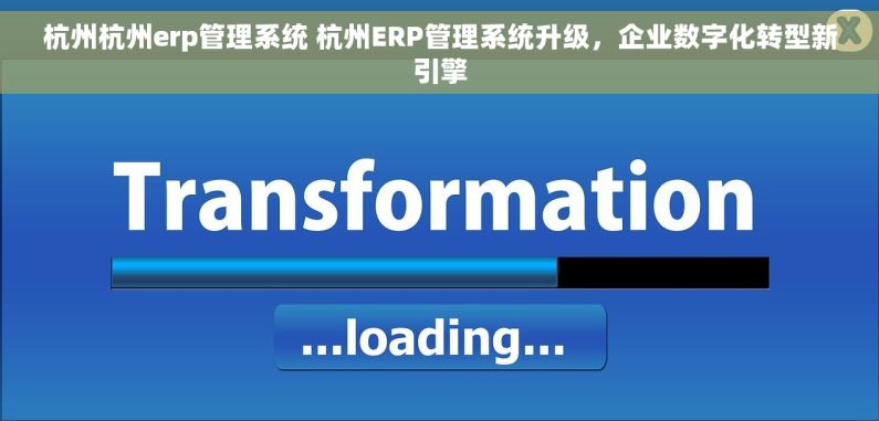 杭州杭州erp管理系统 杭州ERP管理系统升级，企业数字化转型新引擎