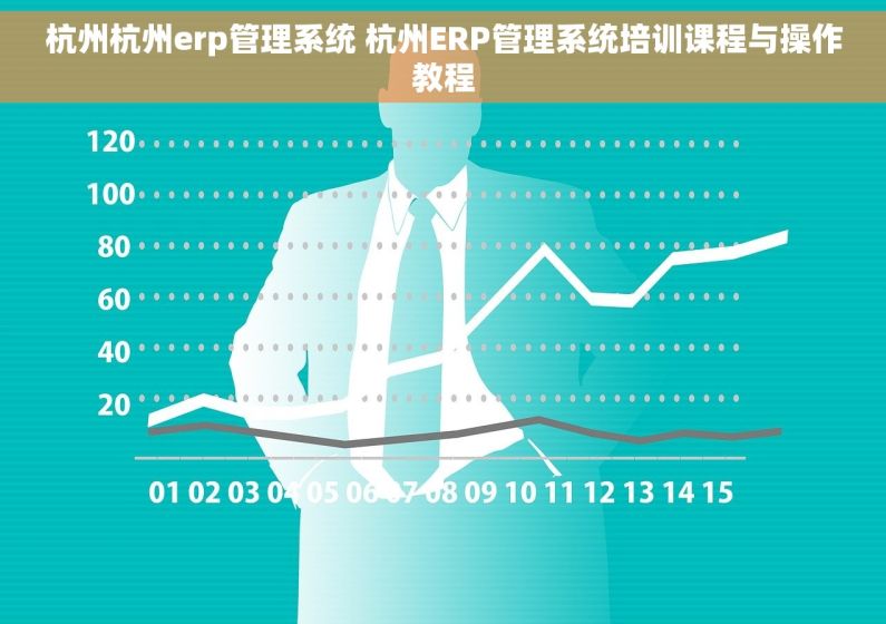 杭州杭州erp管理系统 杭州ERP管理系统培训课程与操作教程