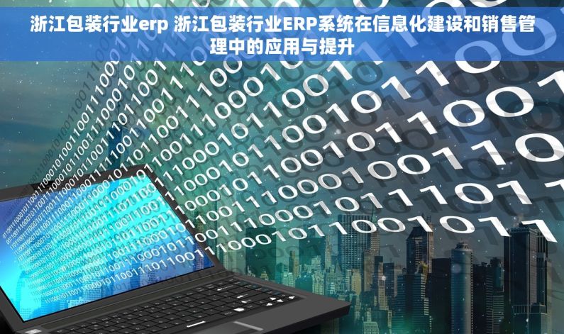 浙江包装行业erp 浙江包装行业ERP系统在信息化建设和销售管理中的应用与提升