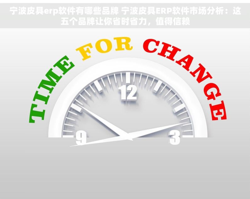 宁波皮具erp软件有哪些品牌 宁波皮具ERP软件市场分析：这五个品牌让你省时省力，值得信赖
