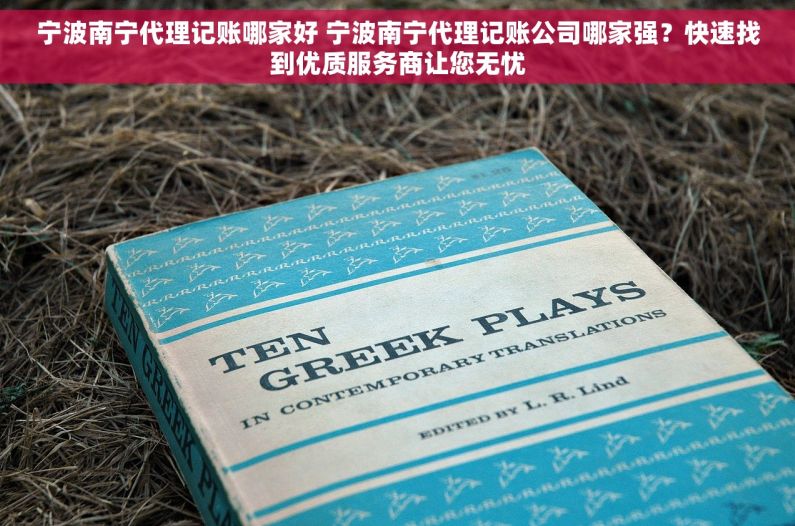 宁波南宁代理记账哪家好 宁波南宁代理记账公司哪家强？快速找到优质服务商让您无忧