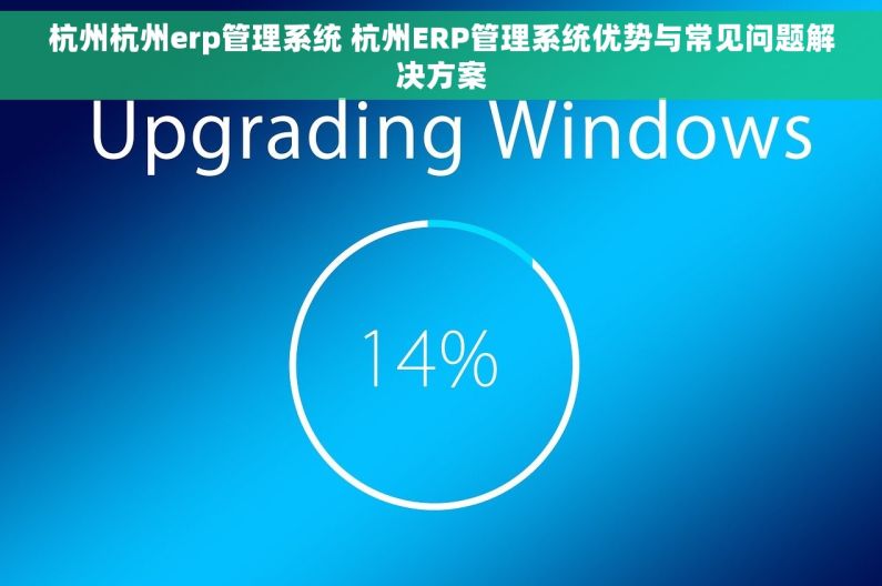 杭州杭州erp管理系统 杭州ERP管理系统优势与常见问题解决方案