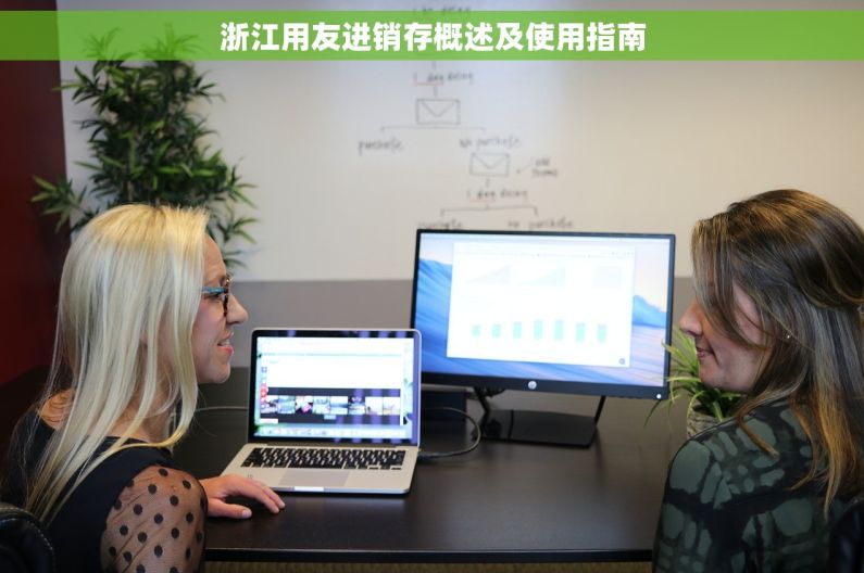 浙江用友进销存概述及使用指南