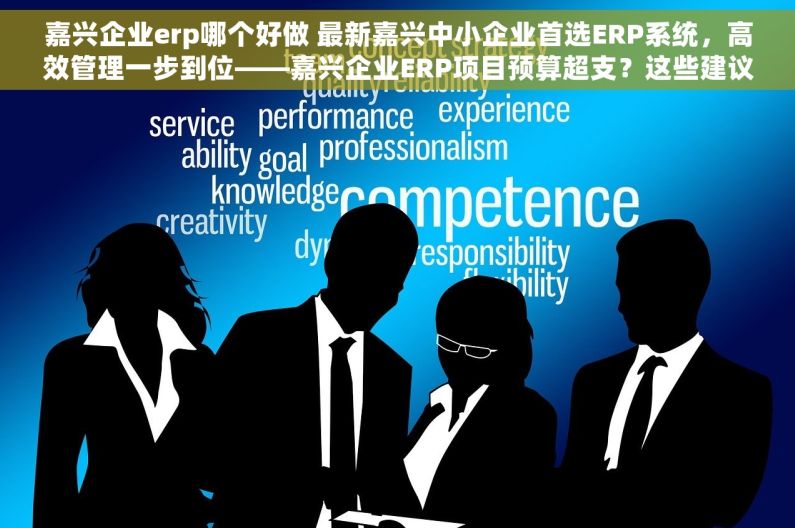 嘉兴企业erp哪个好做 最新嘉兴中小企业首选ERP系统，高效管理一步到位——嘉兴企业ERP项目预算超支？这些建议帮您省心省钱