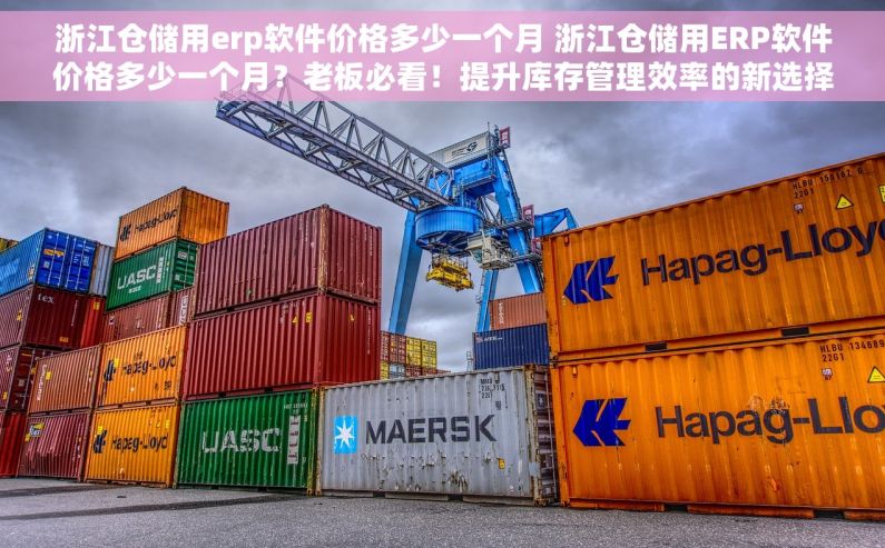 浙江仓储用erp软件价格多少一个月 浙江仓储用ERP软件价格多少一个月？老板必看！提升库存管理效率的新选择！