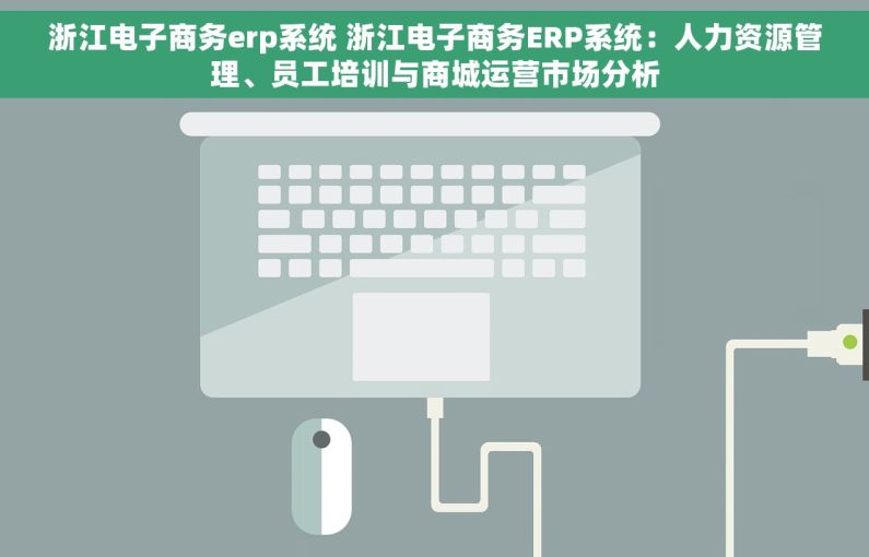 浙江电子商务erp系统 浙江电子商务ERP系统：人力资源管理、员工培训与商城运营市场分析