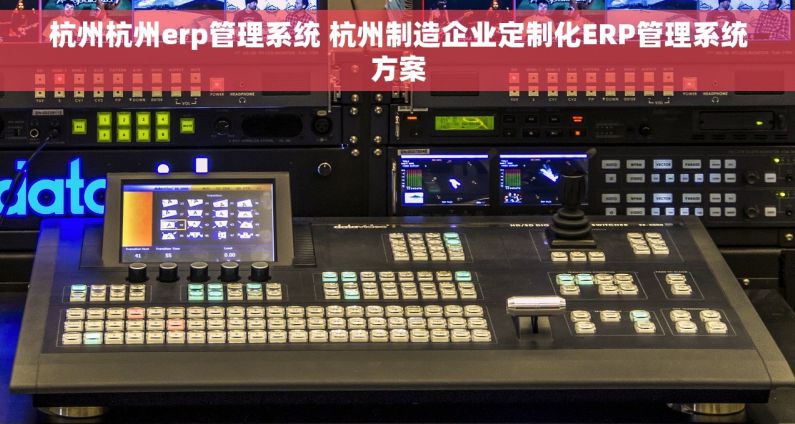 杭州杭州erp管理系统 杭州制造企业定制化ERP管理系统方案