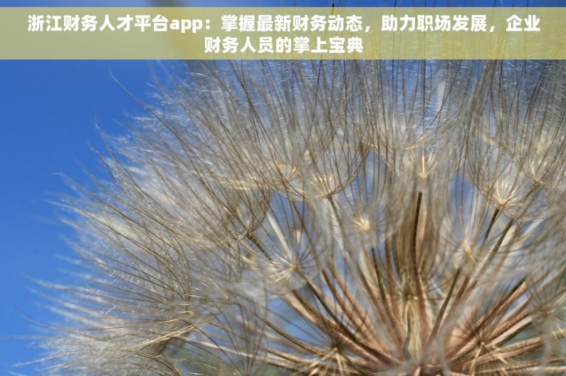浙江财务人才平台app：掌握最新财务动态，助力职场发展，企业财务人员的掌上宝典