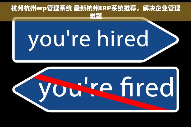 杭州杭州erp管理系统 最新杭州ERP系统推荐，解决企业管理难题