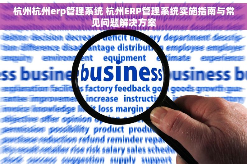 杭州杭州erp管理系统 杭州ERP管理系统实施指南与常见问题解决方案