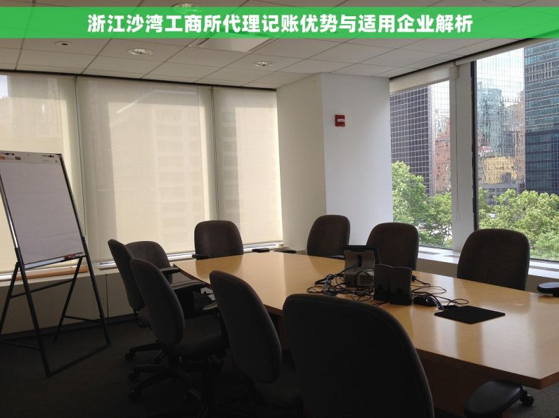 浙江沙湾工商所代理记账优势与适用企业解析