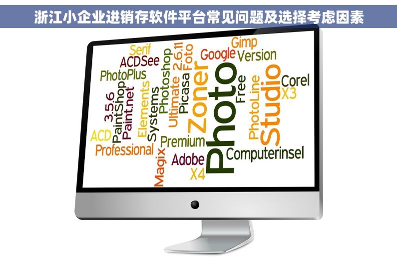 浙江小企业进销存软件平台常见问题及选择考虑因素