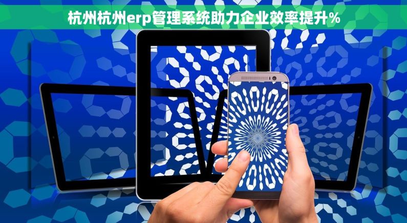 杭州杭州erp管理系统助力企业效率提升%