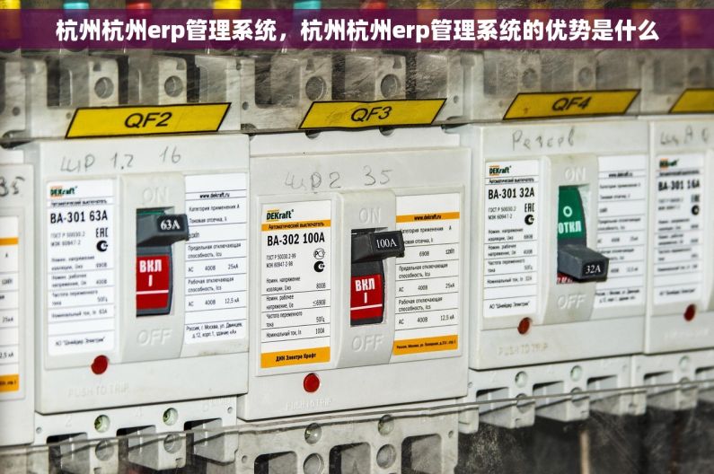 杭州杭州erp管理系统，杭州杭州erp管理系统的优势是什么