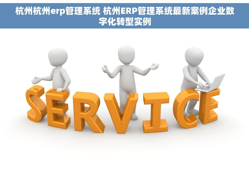 杭州杭州erp管理系统 杭州ERP管理系统最新案例企业数字化转型实例