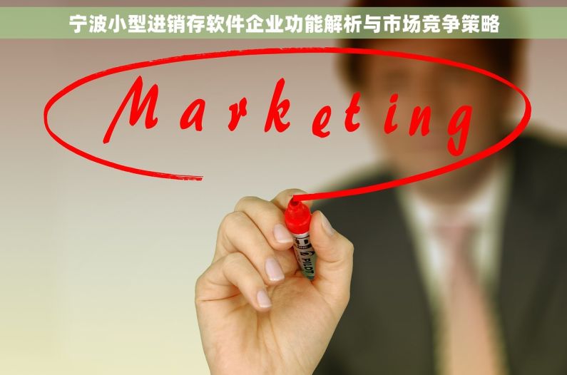 宁波小型进销存软件企业功能解析与市场竞争策略