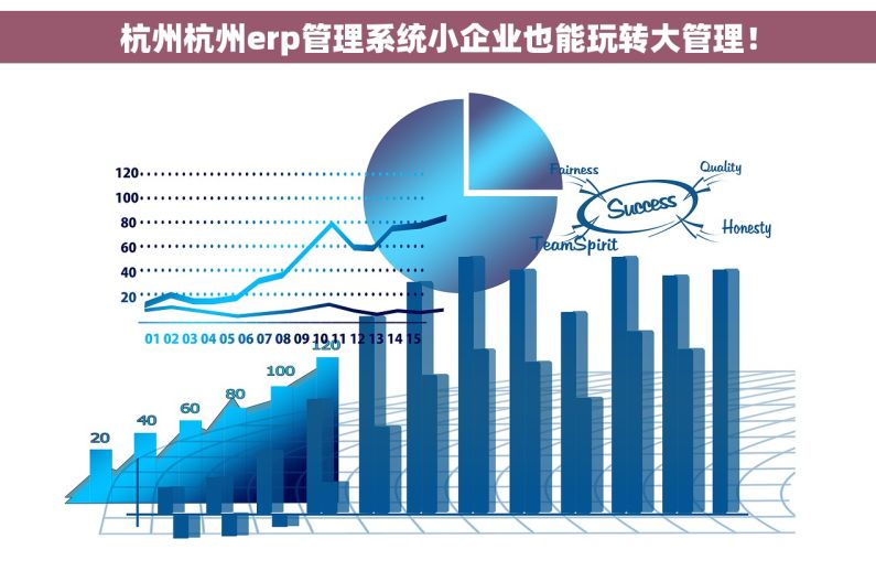 杭州杭州erp管理系统小企业也能玩转大管理！