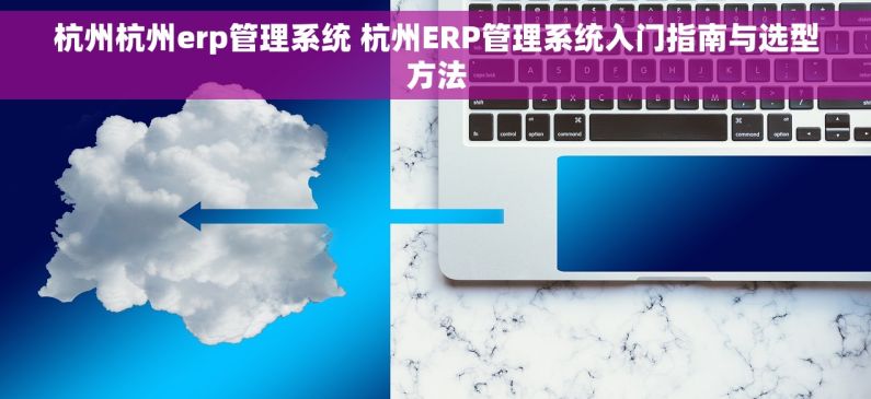 杭州杭州erp管理系统 杭州ERP管理系统入门指南与选型方法