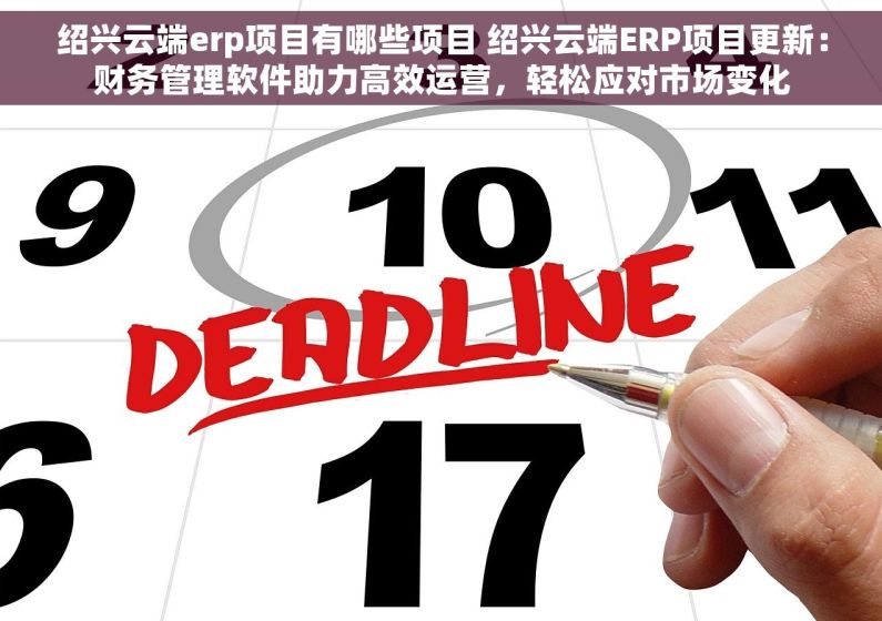 绍兴云端erp项目有哪些项目 绍兴云端ERP项目更新：财务管理软件助力高效运营，轻松应对市场变化