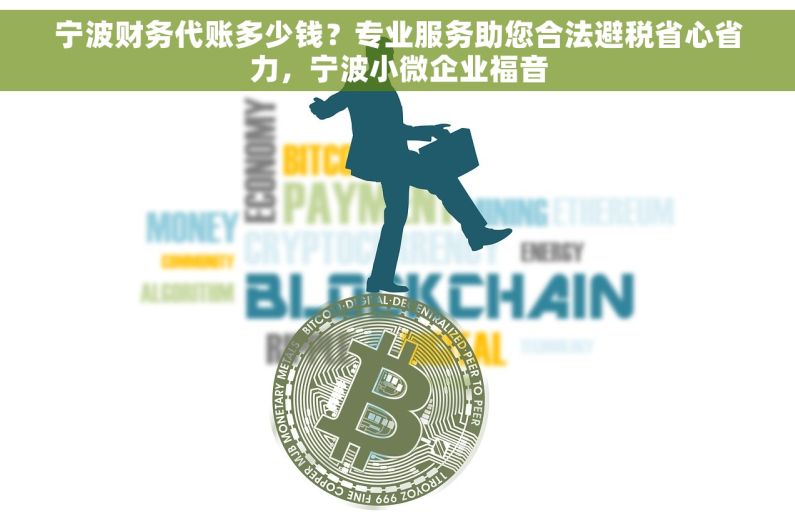 宁波财务代账多少钱？专业服务助您合法避税省心省力，宁波小微企业福音