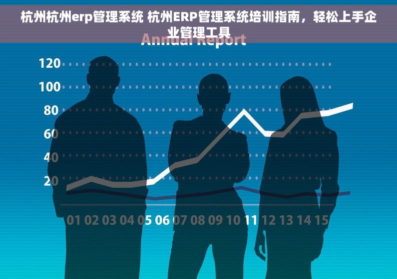 杭州杭州erp管理系统 杭州ERP管理系统培训指南，轻松上手企业管理工具