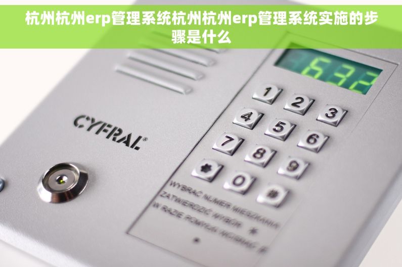 杭州杭州erp管理系统杭州杭州erp管理系统实施的步骤是什么