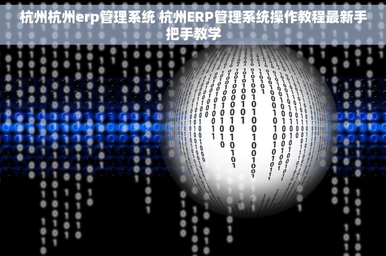 杭州杭州erp管理系统 杭州ERP管理系统操作教程最新手把手教学