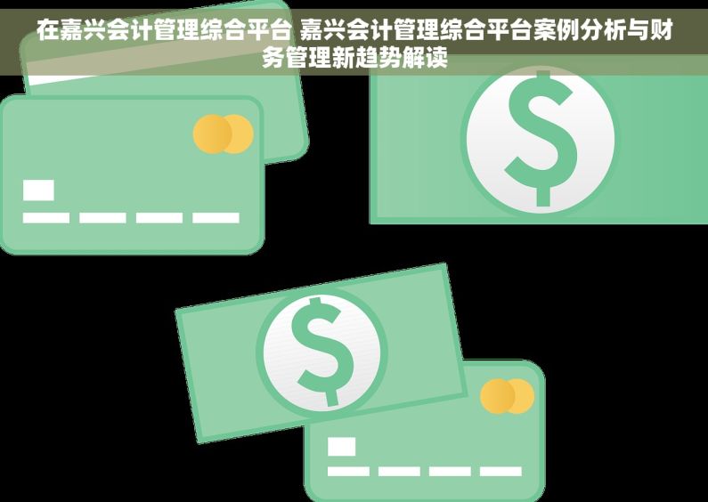 在嘉兴会计管理综合平台 嘉兴会计管理综合平台案例分析与财务管理新趋势解读