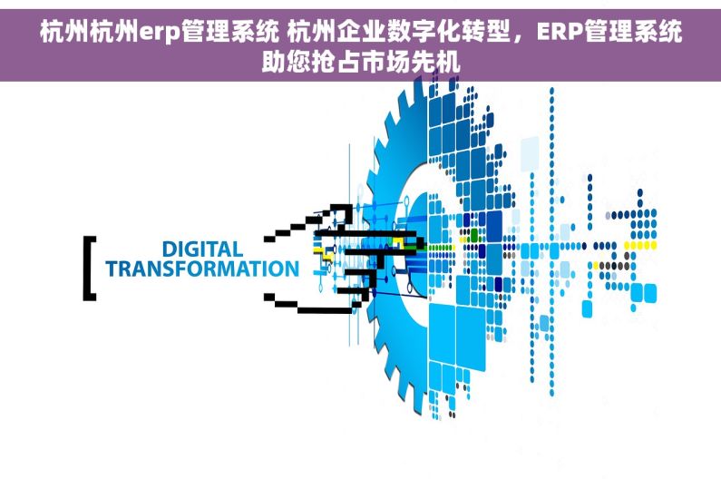 杭州杭州erp管理系统 杭州企业数字化转型，ERP管理系统助您抢占市场先机